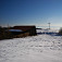 Buče