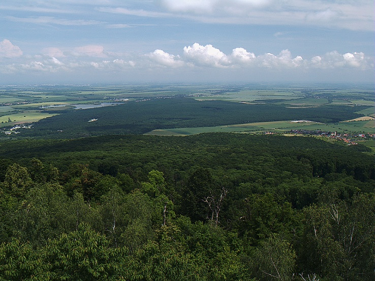 Fotka: Podunajská nížina - Malé Karpaty - foto 6180 | HIKING.SK